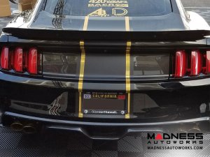 Ford Mustang Type ARQ Rear Diffuser by Anderson Composites -  Carbon Fiber - Quad Tip